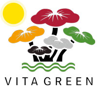 Vita Green