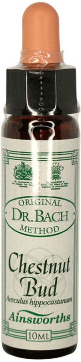 Dr. Bach  Ainsworths Cestnut Bud 10ml